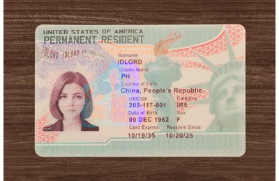 Green Card Fake id front side